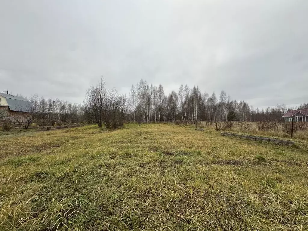 Участок в Нижегородская область, Кстовский муниципальный округ, д. ... - Фото 1