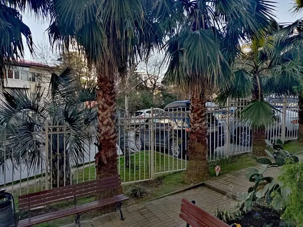 3-к кв. Краснодарский край, Сочи Завокзальный мкр, ул. Невская, 18 ... - Фото 2