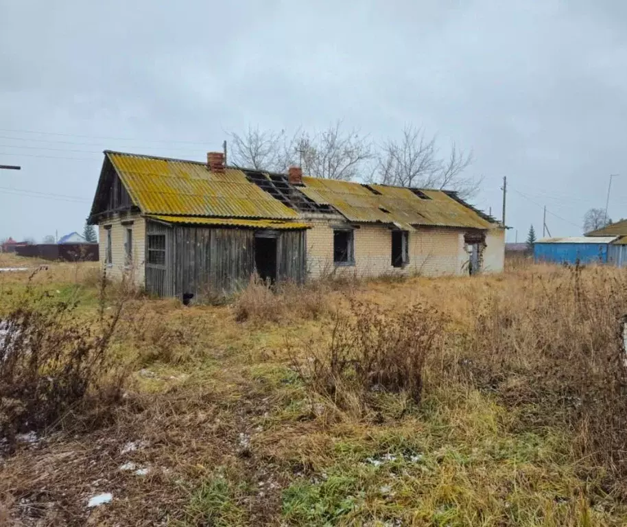 Участок в Челябинская область, Каслинский муниципальный округ, с. ... - Фото 2