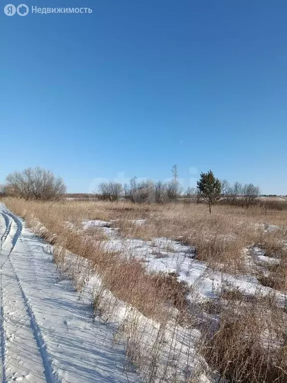 Участок в Амурская область, Благовещенский муниципальный округ, ... - Фото 1