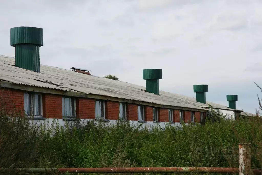 Производственное помещение в Тульская область, Заокский район, ... - Фото 1