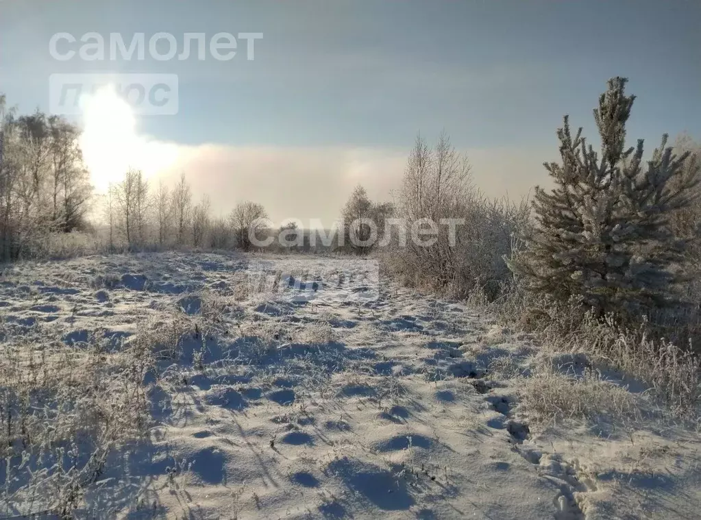 Участок в Костромская область, Красносельский район, Прискоковское ... - Фото 2
