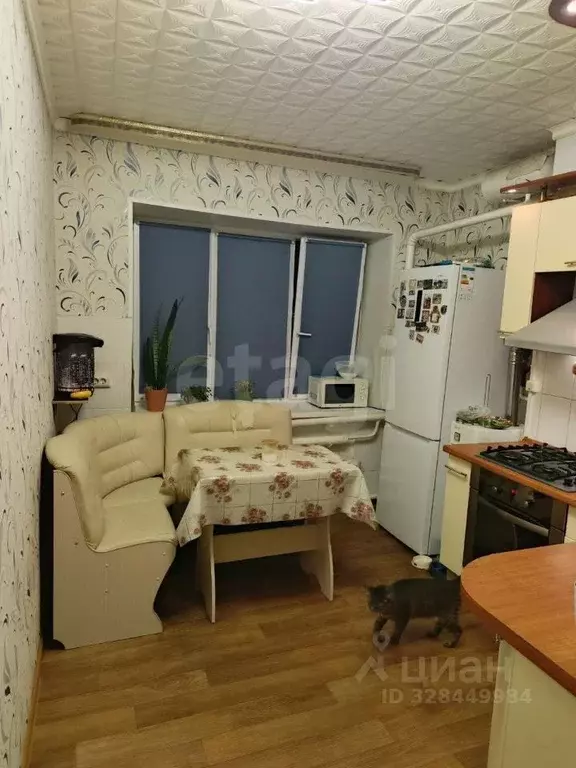 2-к кв. Липецкая область, Чаплыгинский муниципальный округ, с. ... - Фото 2