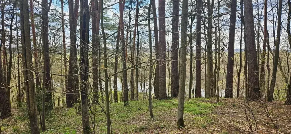 Дом в Московская область, Одинцовский городской округ, пос. Николина ... - Фото 1