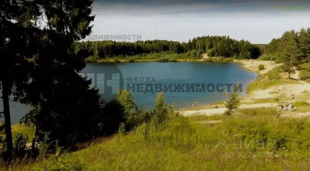 Участок в Ленинградская область, Всеволожский район, Романовское ... - Фото 1