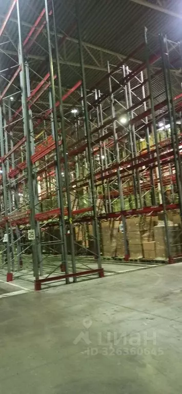 Склад в Московская область, Чехов муниципальный округ, с. Новоселки, ... - Фото 1