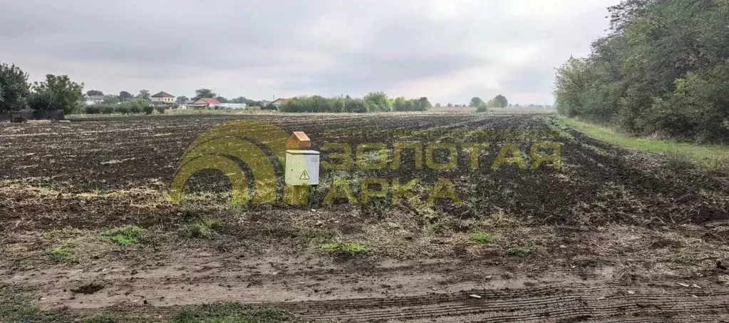 Участок в Краснодарский край, Крымский район, Варениковское с/пос, ... - Фото 1