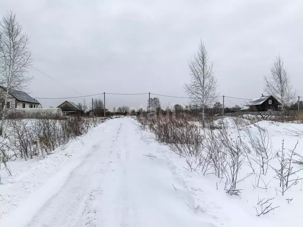 Участок в Новосибирская область, Новосибирский район, Станционный ... - Фото 0