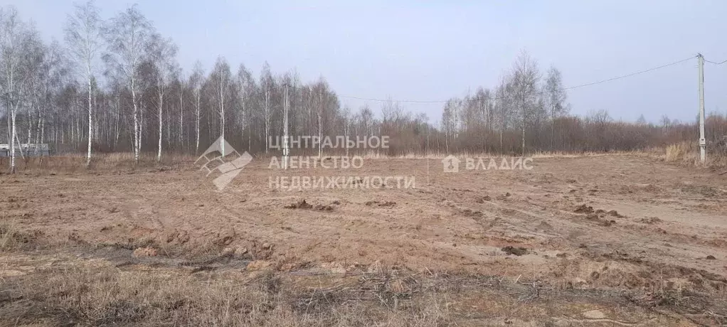 Участок в Рязанская область, Рязанский муниципальный округ, с. ... - Фото 1