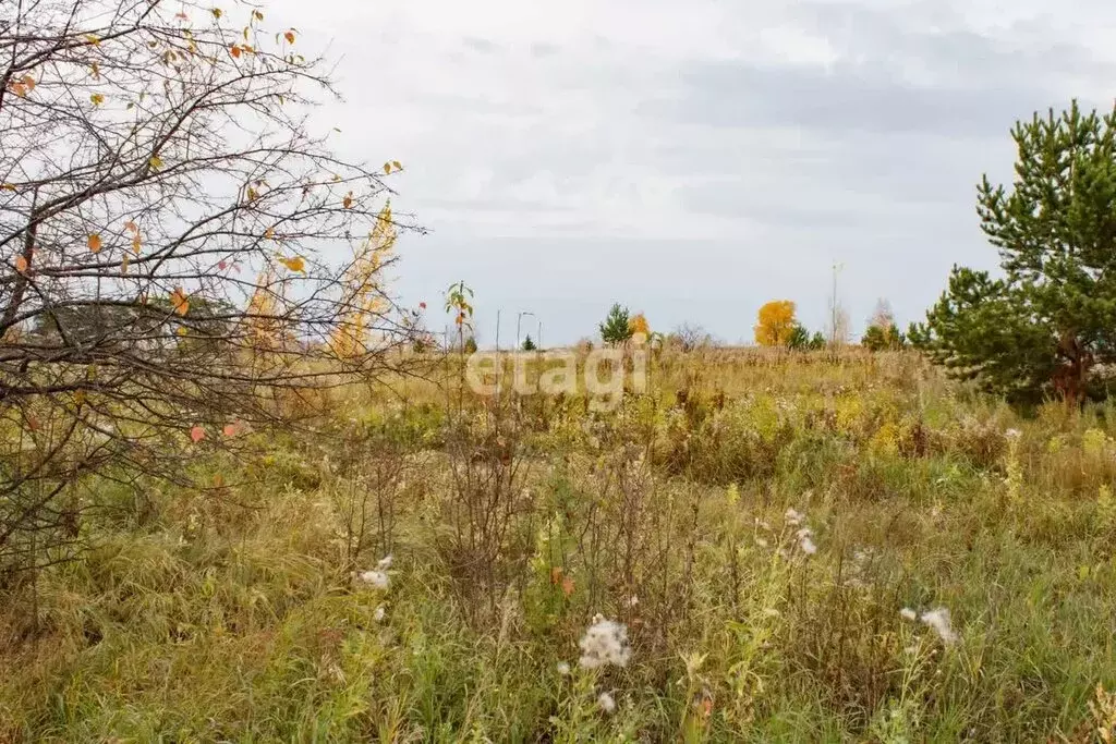 Участок в Тюменская область, Ишимский муниципальный округ, посёлок ... - Фото 2