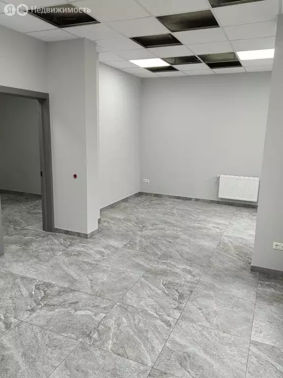 Помещение свободного назначения (315 м) - Фото 2