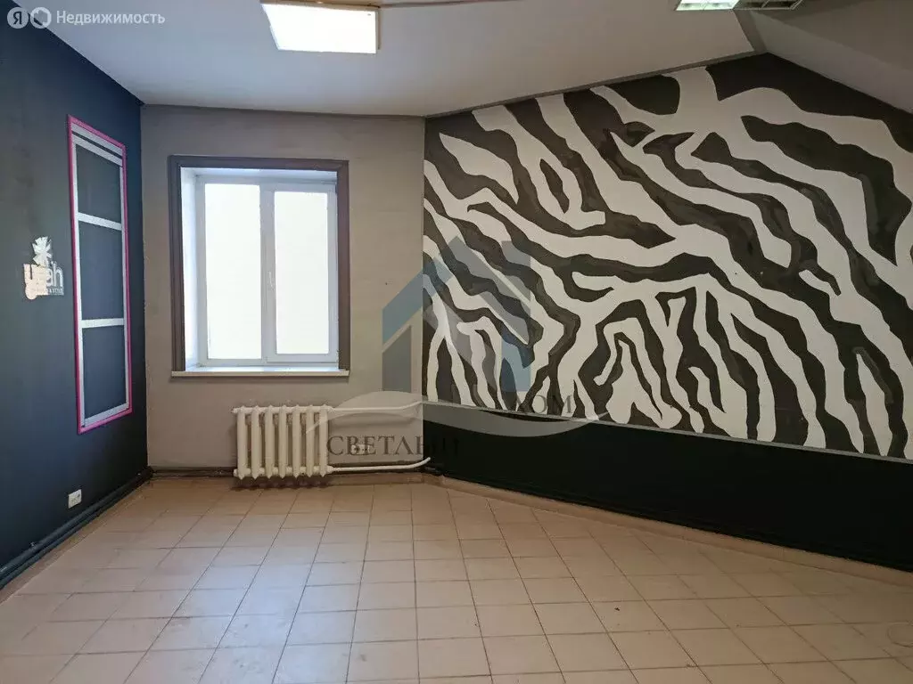 Помещение свободного назначения (21.6 м) - Фото 1