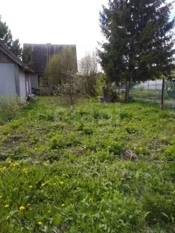 Дом в Омск, садоводческое некоммерческое товарищество Каучук (30 м) - Фото 0