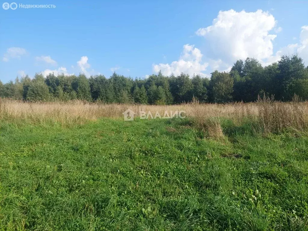 Участок в Выборгский район, Приморское городское поселение, посёлок ... - Фото 1