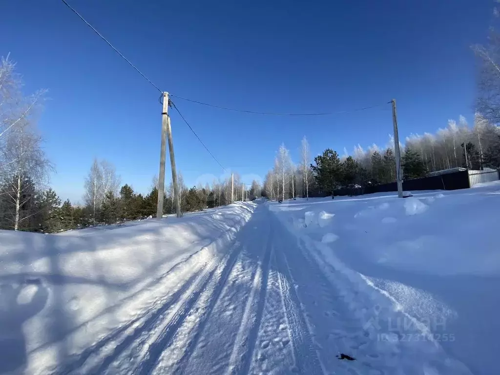 Участок в Мордовия, Кочкуровский район, с. Новая Пырма  (10.0 сот.) - Фото 1