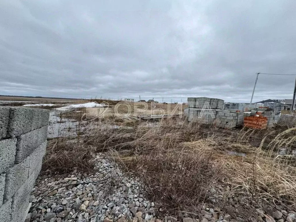 Участок в Тюменская область, Тюменский район, д. Малиновка ул. ... - Фото 1