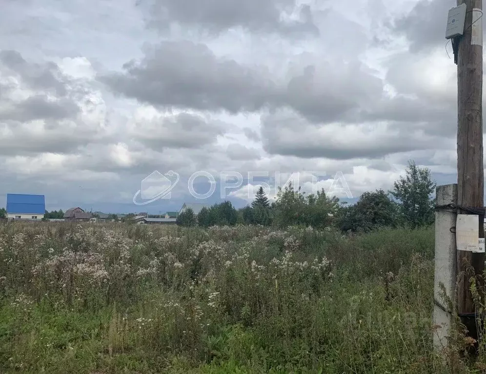 Участок в Тюменская область, Тюмень Поле Чудес-2 садовое товарищество, ... - Фото 2