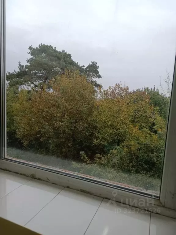 Комната Московская область, Луховицы ул. Куйбышева, 267 (50.0 м) - Фото 2