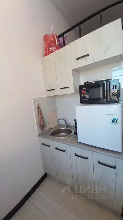 Студия Санкт-Петербург ул. Некрасова, 60 (16.0 м) - Фото 2