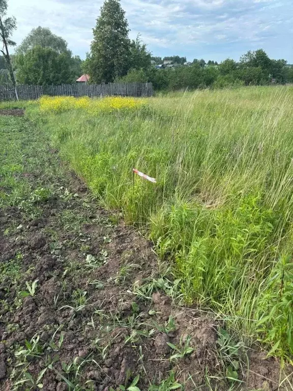 Участок в Нижегородская область, Дивеевский муниципальный округ, с. ... - Фото 1