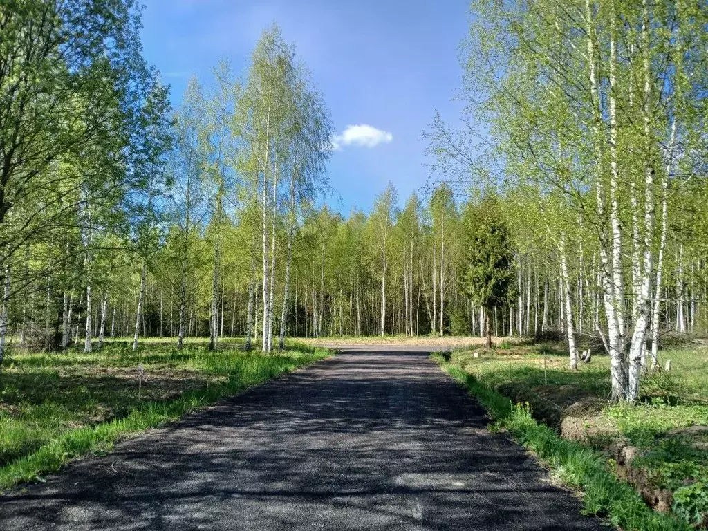 Участок в Московская область, Пушкинский городской округ, д. Данилово  ... - Фото 1