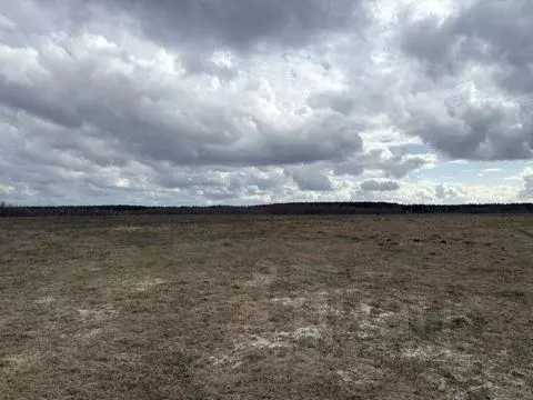 Участок в Московская область, Воскресенск городской округ, Имени ... - Фото 1