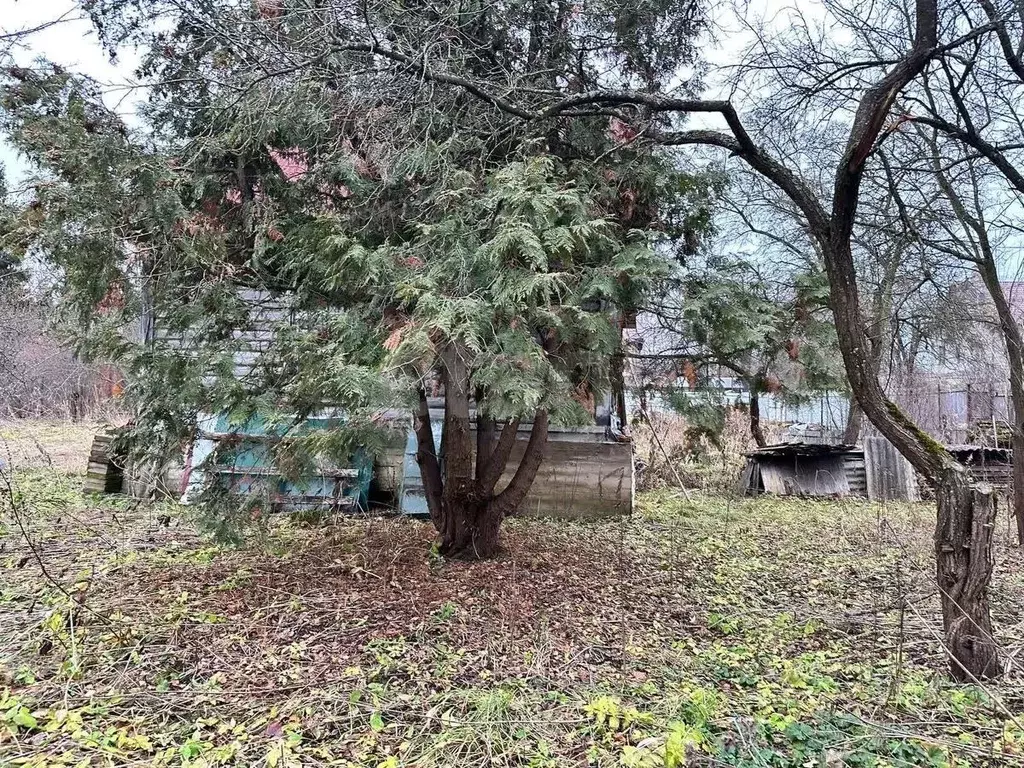 Участок в Москва Десна СНТ, 191 (12.0 сот.) - Фото 1
