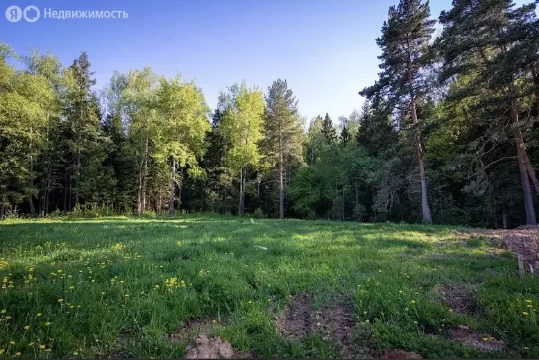 Участок в Химки, КП Сходня форест парк (6.45 м) - Фото 0