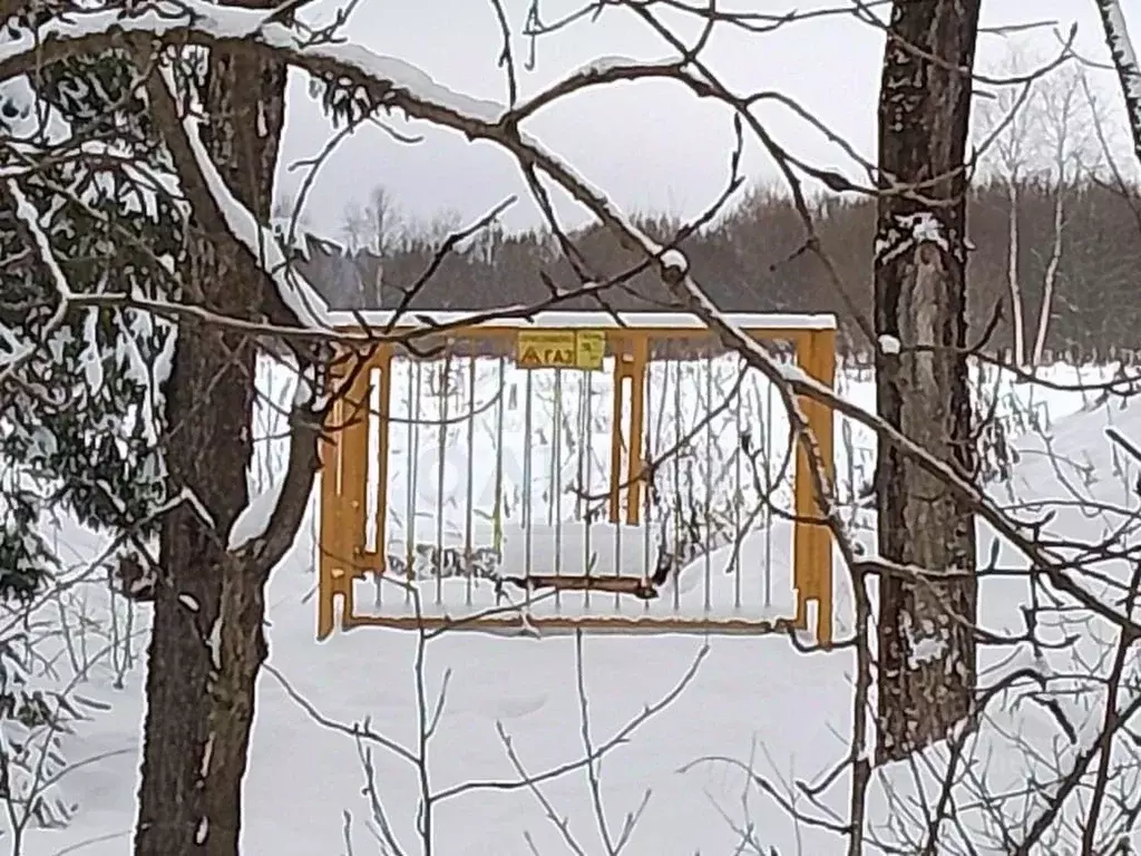 Участок в Калужская область, Медынский муниципальный округ, Михеево ... - Фото 2