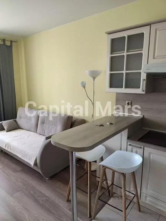 1-к кв. Санкт-Петербург Лыжный пер., 8к1 (30.0 м) - Фото 1