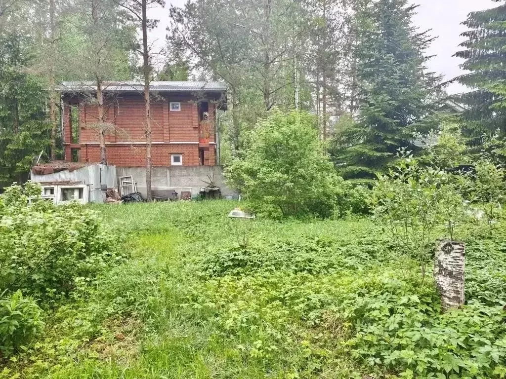 Участок в Ленинградская область, Выборгский район, Рощинское городское ... - Фото 2