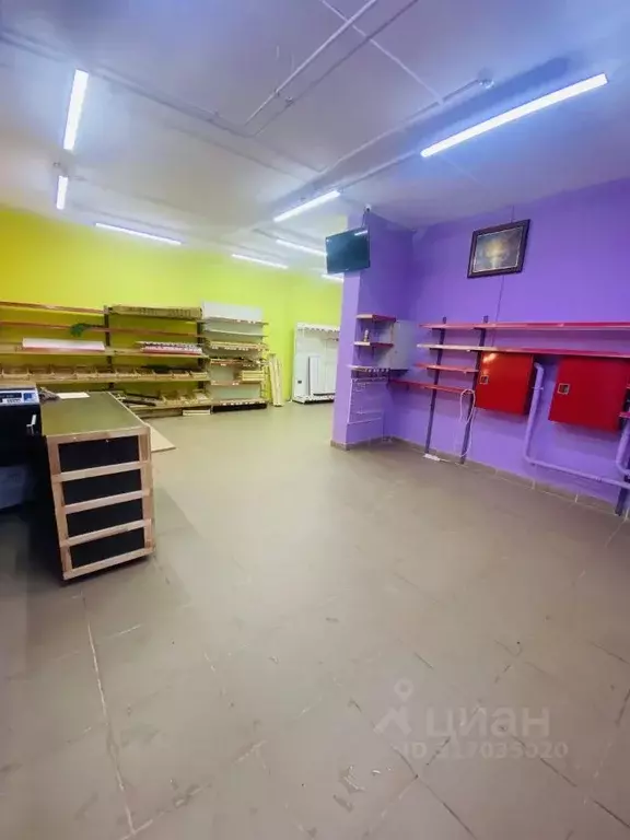Торговая площадь в Санкт-Петербург Заставская ул., 46к3 (50 м) - Фото 1
