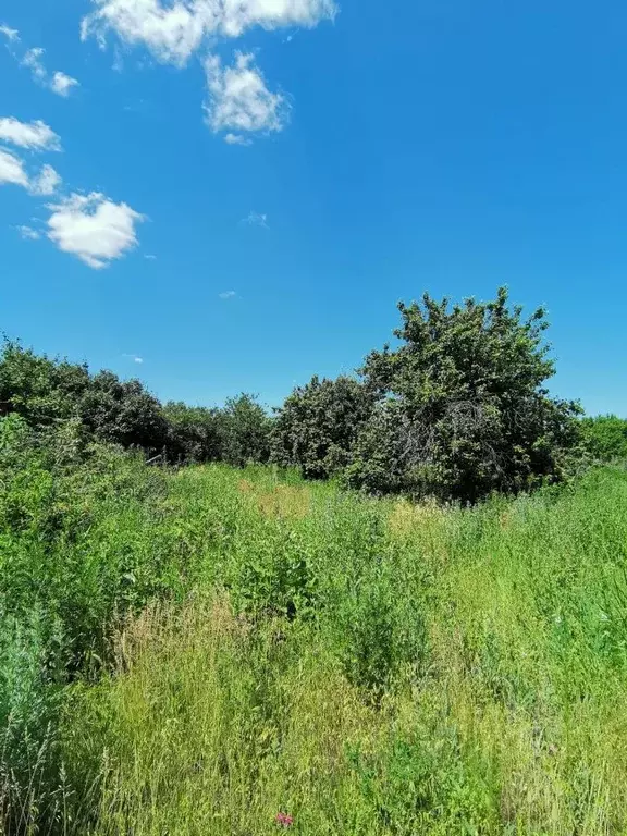Участок в Саратовская область, Энгельсский район, Красноярское ... - Фото 2