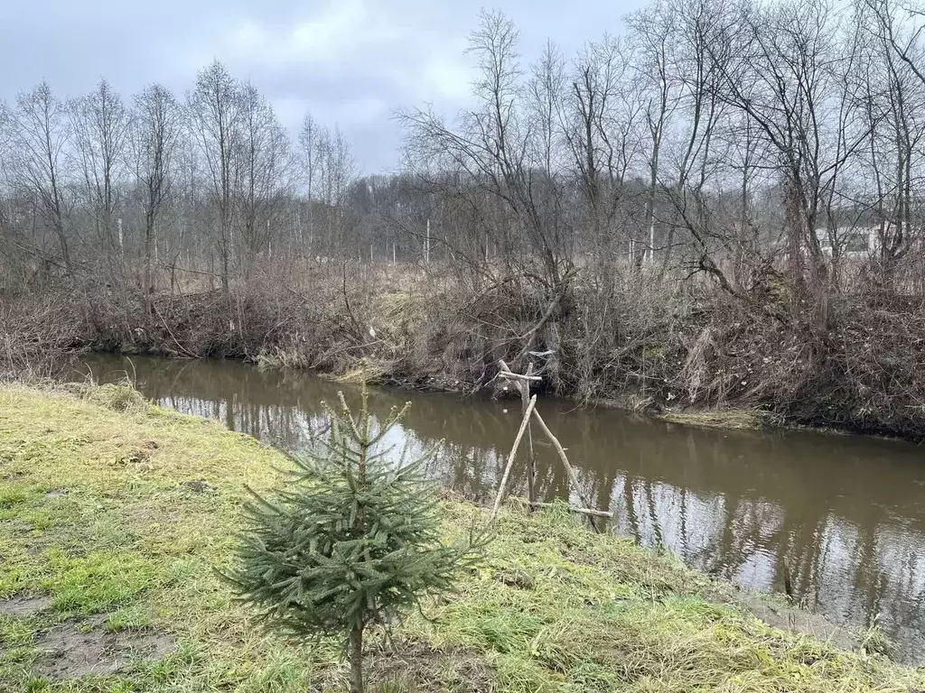 Участок в Московская область, Химки городской округ, д. Шемякино, ... - Фото 2