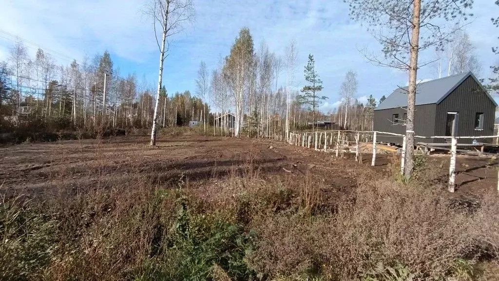 Участок в Ленинградская область, Всеволожское городское поселение, ... - Фото 0