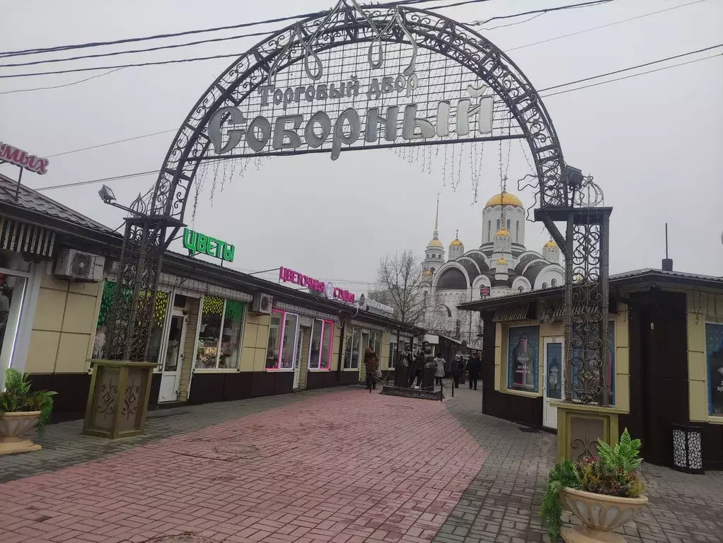 Помещение свободного назначения в Воронежская область, Воронеж ул. ... - Фото 1