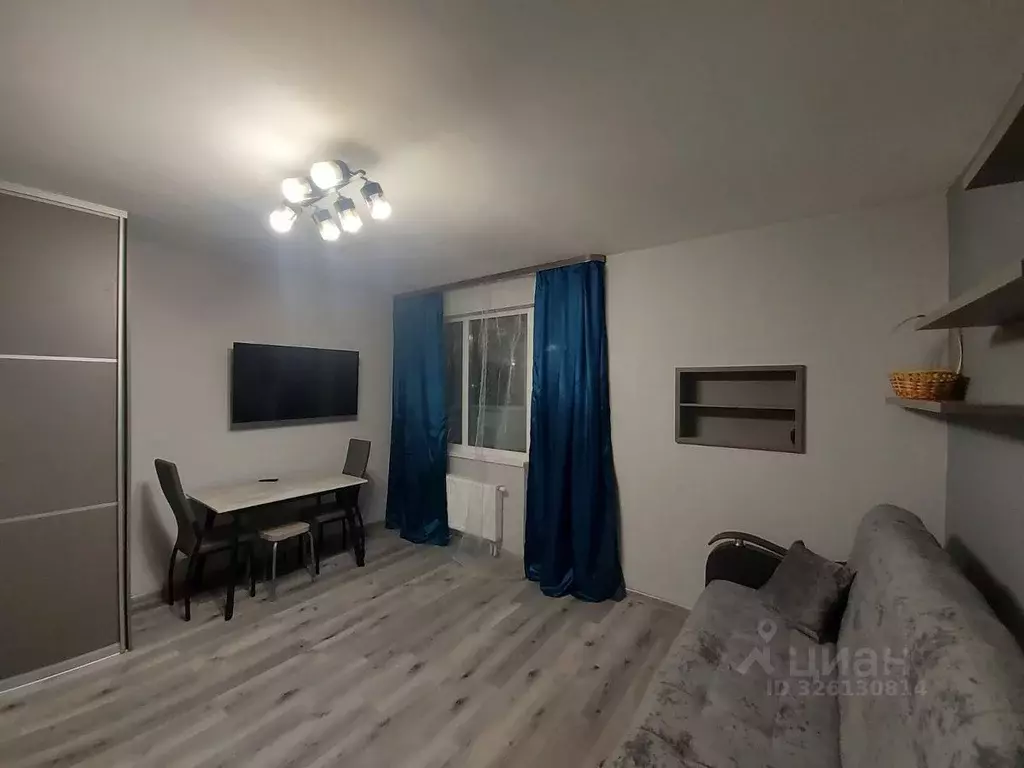 Студия Санкт-Петербург пос. Парголово, Заречная ул., 13к2 (29.0 м) - Фото 2