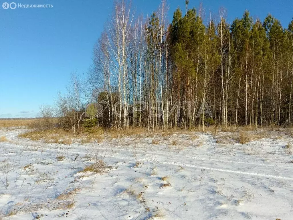 Участок в село Ошкуково, Молодёжная улица (11.84 м) - Фото 0