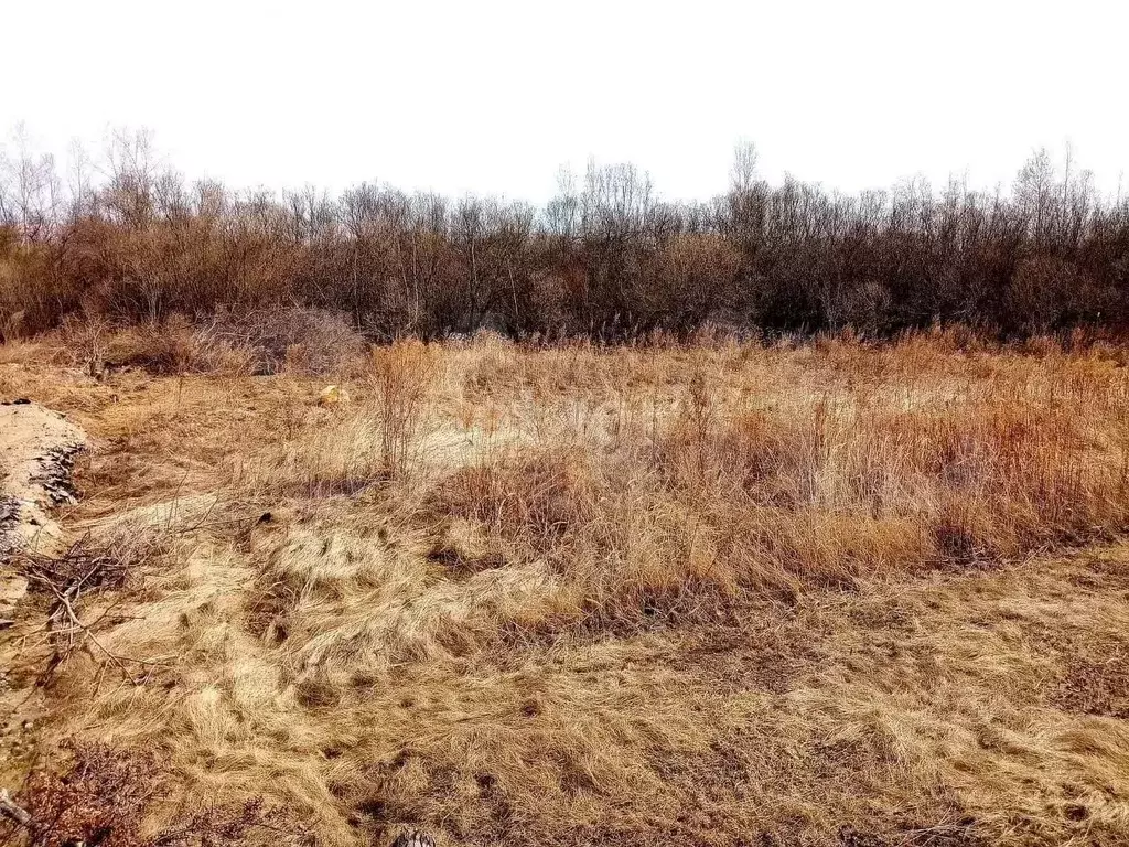 Участок 7 сот. (СНТ, ДНП) - Фото 1