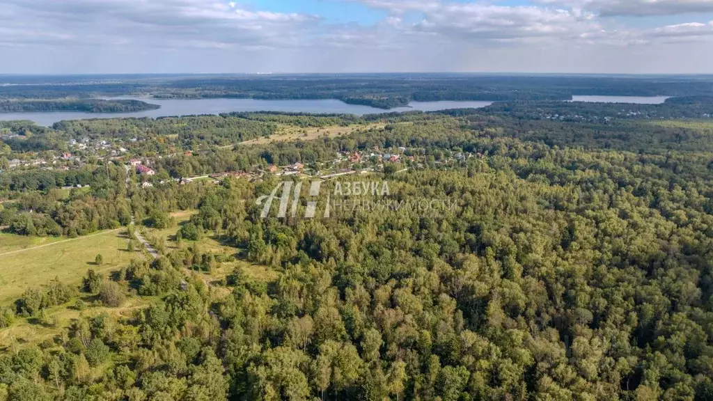 Участок в Московская область, Истра муниципальный округ, д. Алехново ... - Фото 2