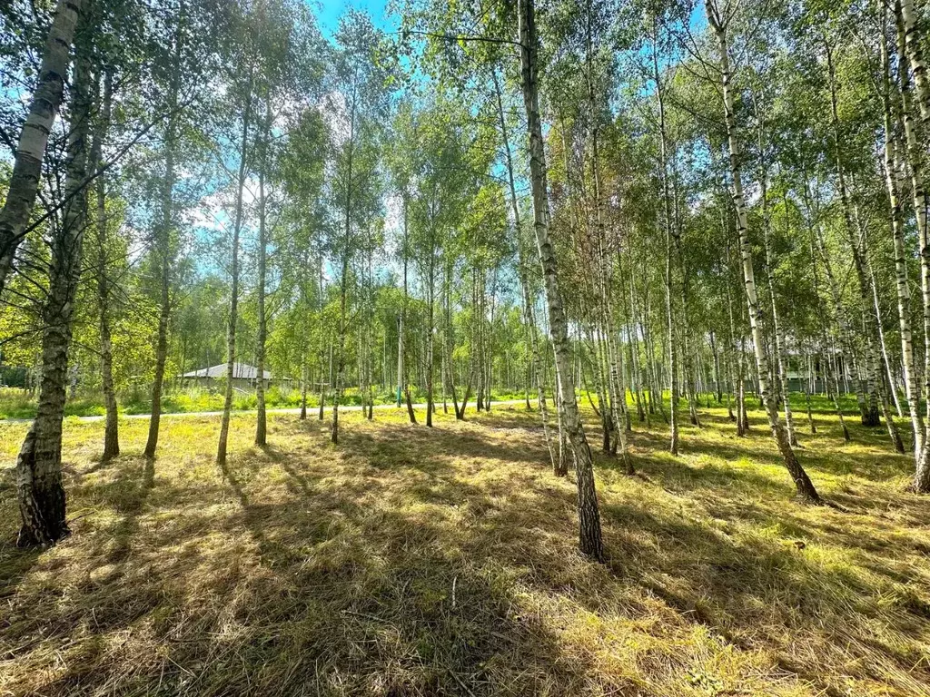 Участок в Московская область, Истра муниципальный округ, д. Лужки  ... - Фото 1