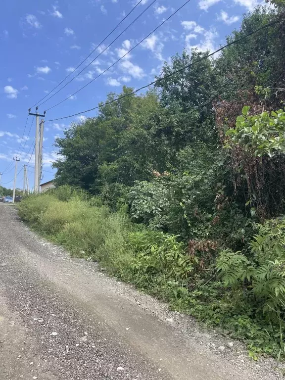 Участок в Краснодарский край, Сочи городской округ, с. Черешня ул. ... - Фото 1