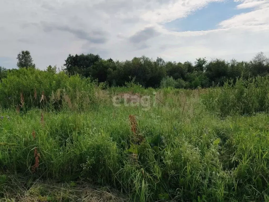 участок в нижегородская область, ковернинский муниципальный округ, д. . - Фото 0