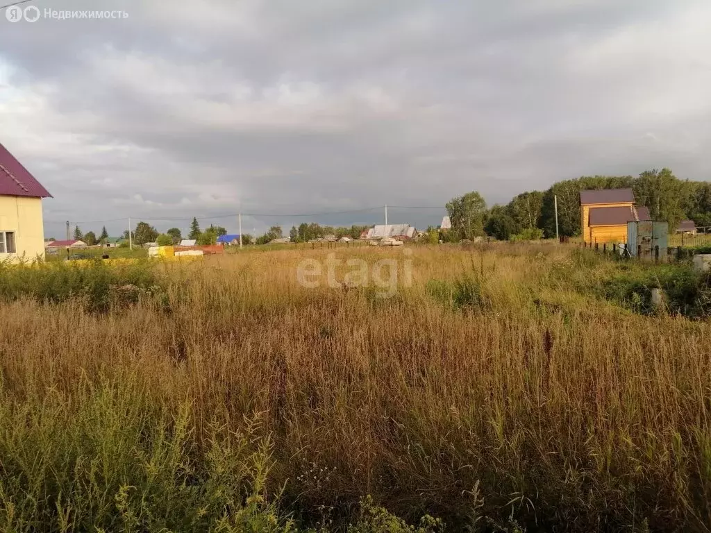 Участок в Новопичугово, Трактовая улица (15 м) - Фото 1