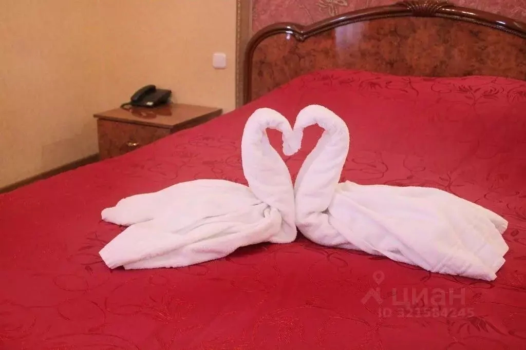 Комната Ставропольский край, Минеральные Воды ул. Пушкина, 10 (42.0 м) - Фото 2