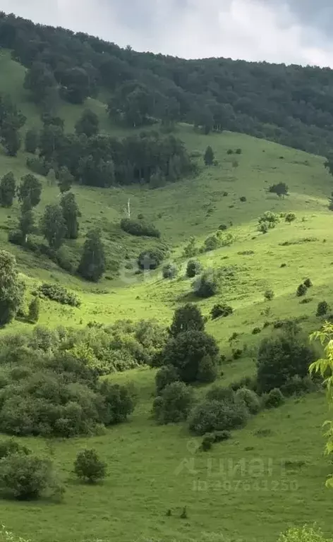 Участок в Алтайский край, Белокуриха Енисейская ул., 35 (600.0 сот.) - Фото 0