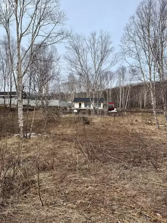 Участок в Елизовский район, Пионерское сельское поселение, посёлок ... - Фото 0