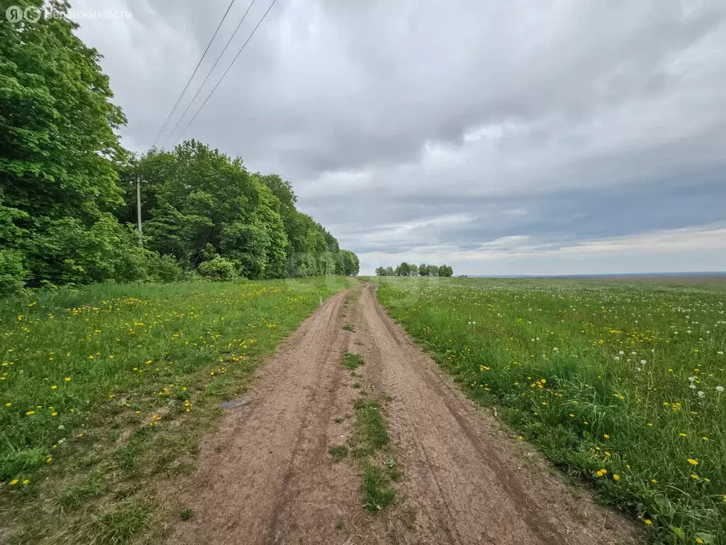 Участок в Тукаевский район, село Биклянь (215.15 м) - Фото 0