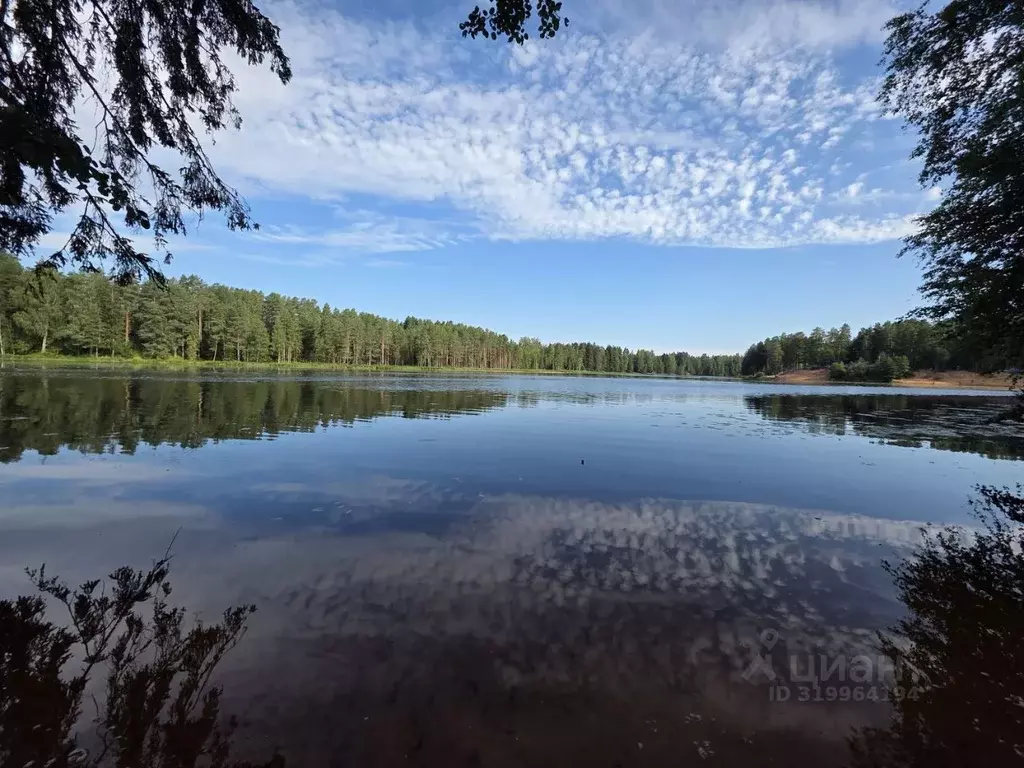 Дом в Ленинградская область, Гатчинский район, Вырица городской ... - Фото 1
