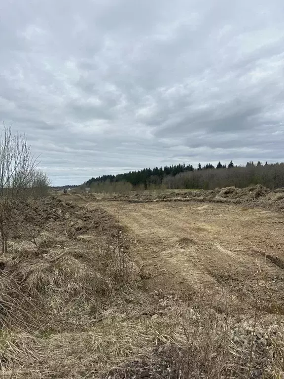 Участок в Ленинградская область, Ломоносовский район, Лопухинское ... - Фото 0